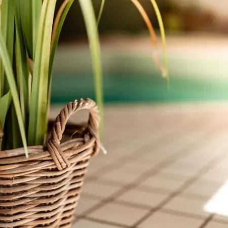 Boutique Sylt - Kliffkante - Opening August 2023 Hotel *